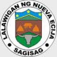 nueva ecija municipalities|Nueva Ecija Profile .